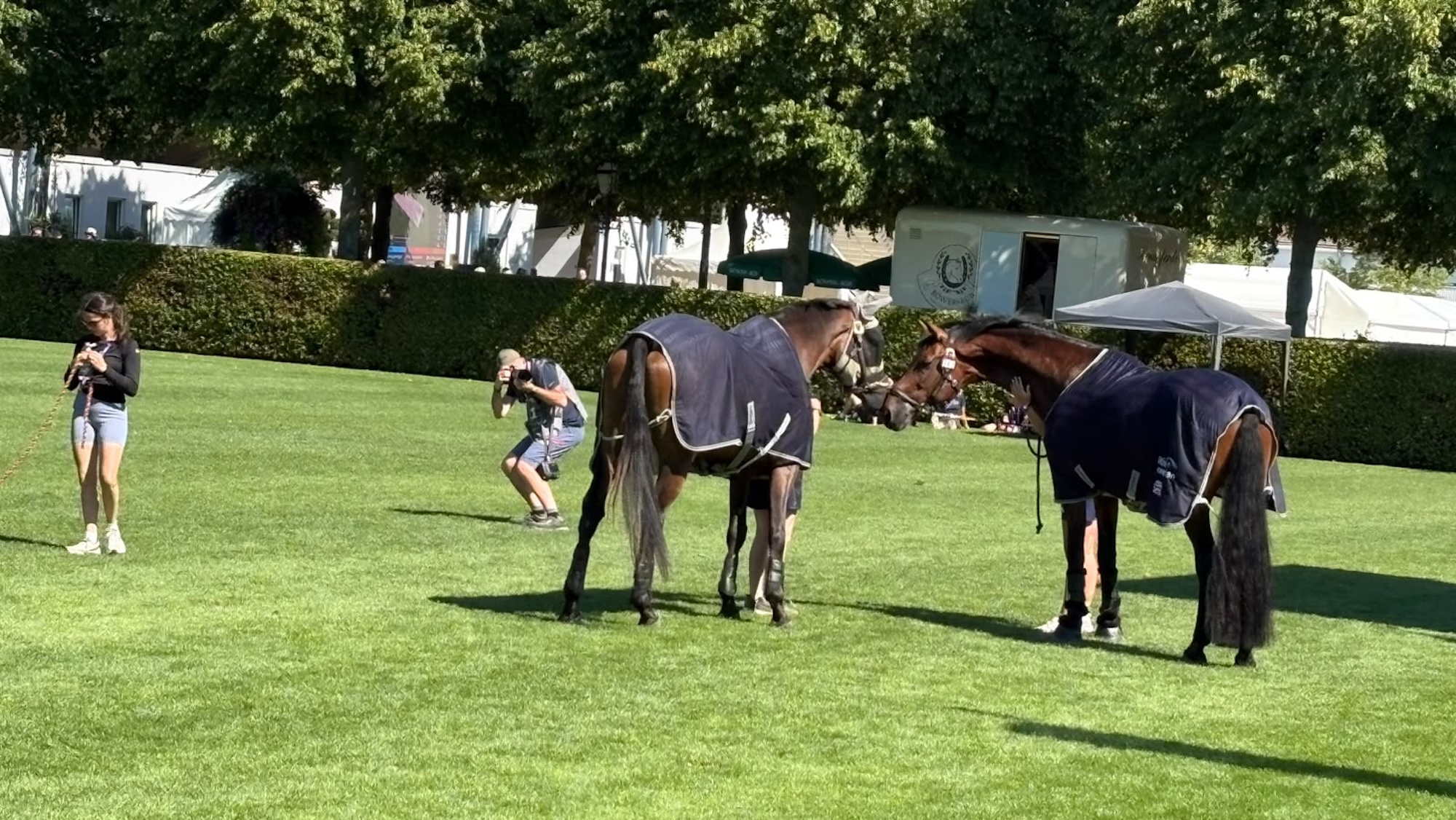 Two British squad horses D.Day and Lordships Graffalo enjoy a pick of grass