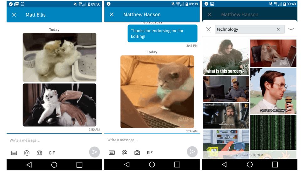 LinkedIn Messenger now lets you send cat GIFs to potential employers TechRadar