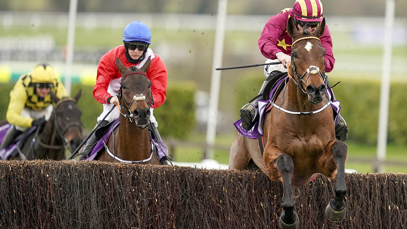 Minella Indo in action at the Cheltenham Festival