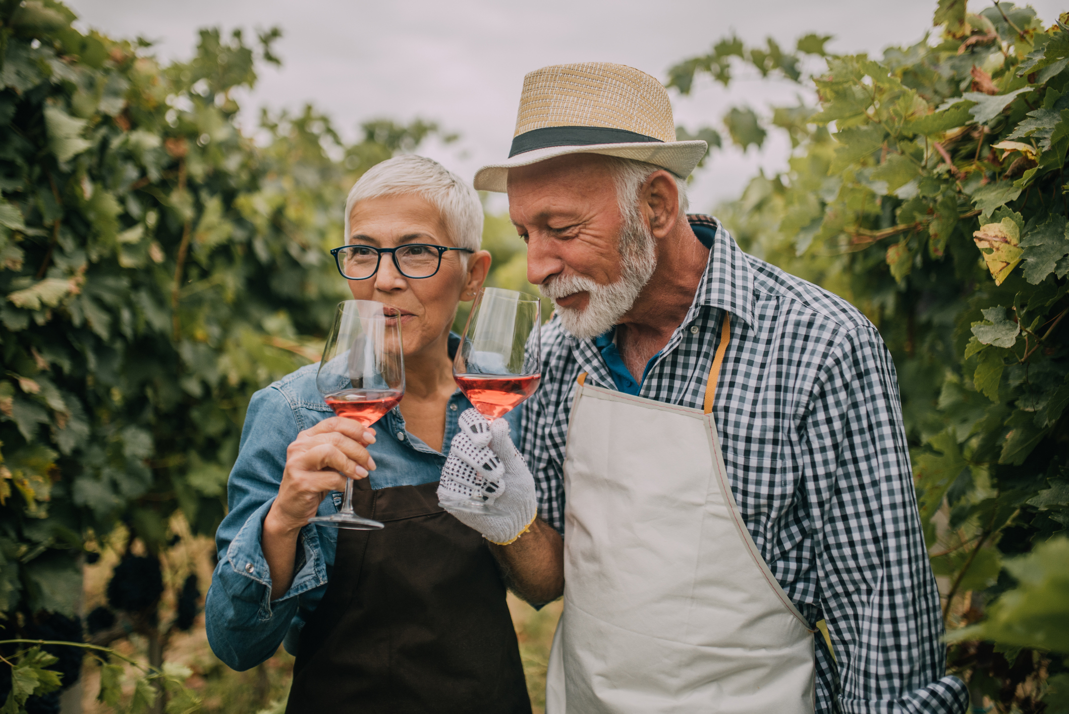 An older couple tasting wine in the grape field. The man is dressed as if he has been tending the grapes.