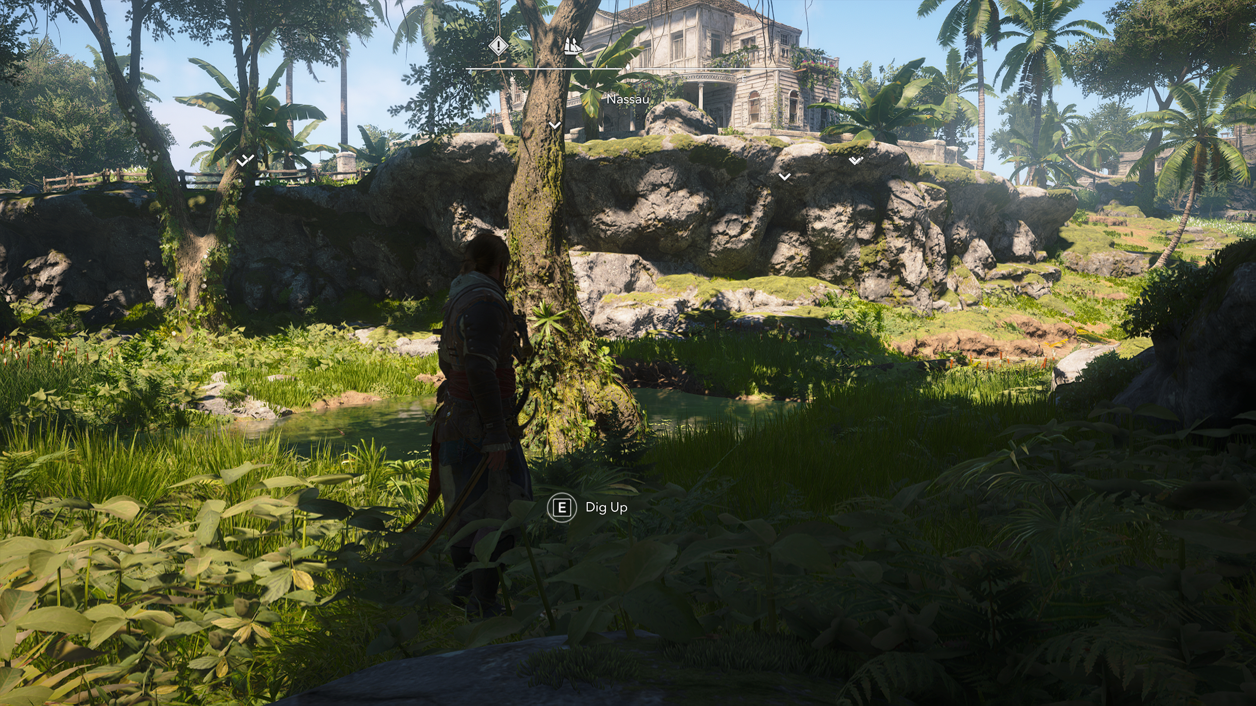 Black Flag treasure maps: Edward stood next to a crooked tree with a large white manor on the hill ahead.