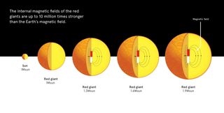 Red Giant Stars Infographic