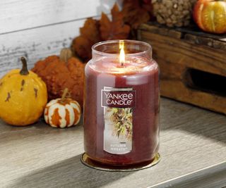An Autumn Wrath Yankee Candle in front of squash and pumpkins