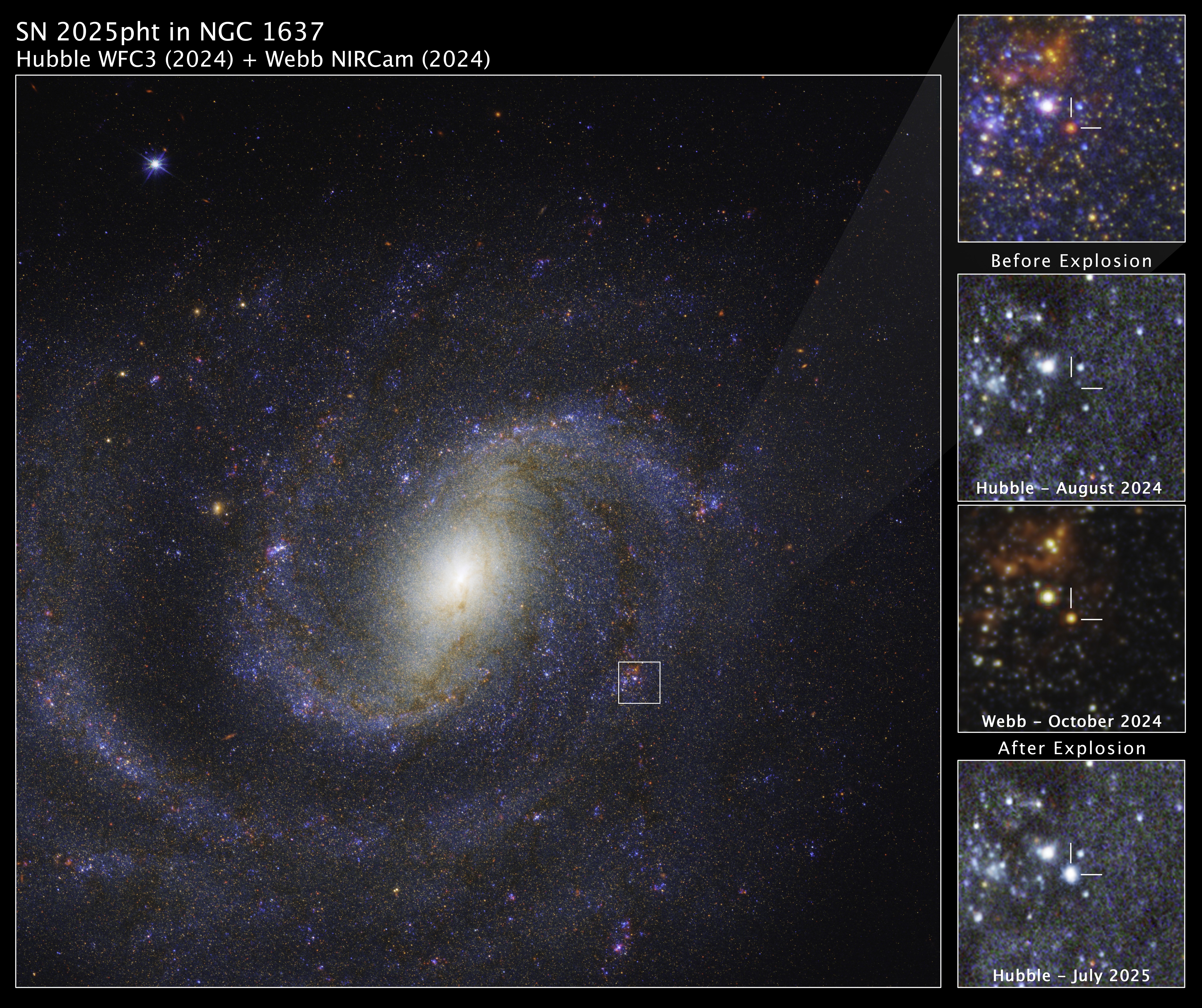 An image of the spiral galaxy NGC 1637 with additional detailed images of the red supergiant before and after it went supernova, combining JWST and Hubble observations.