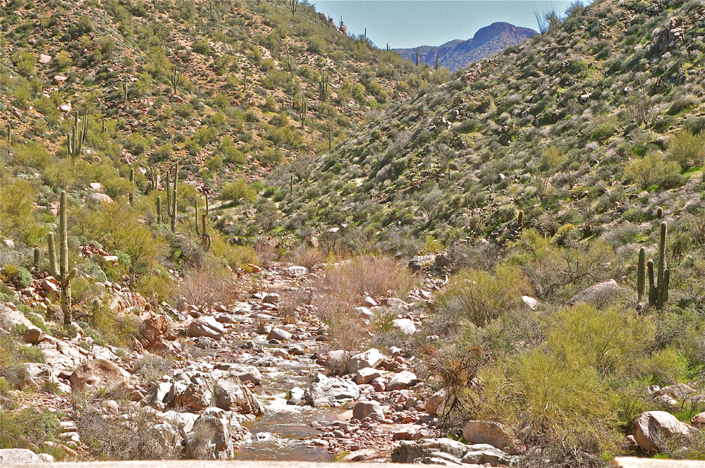 American west landscapes