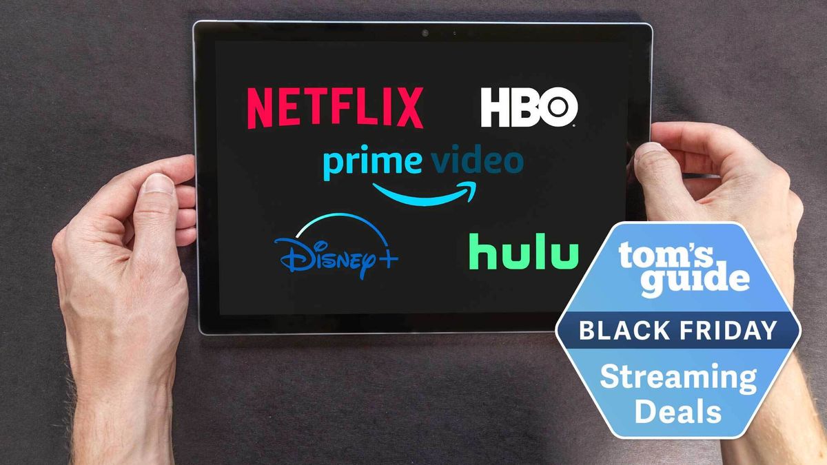 Black Friday Streaming Deals: Save up to 89% on Hulu, Disney Plus, Max,  Peacock, Paramount Plus, and More