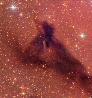 Obscuring Nebula Barnard 169