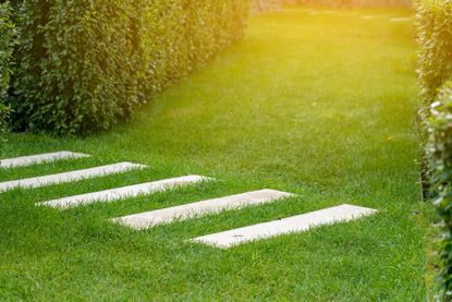 A healthy green lawn with paving stones 