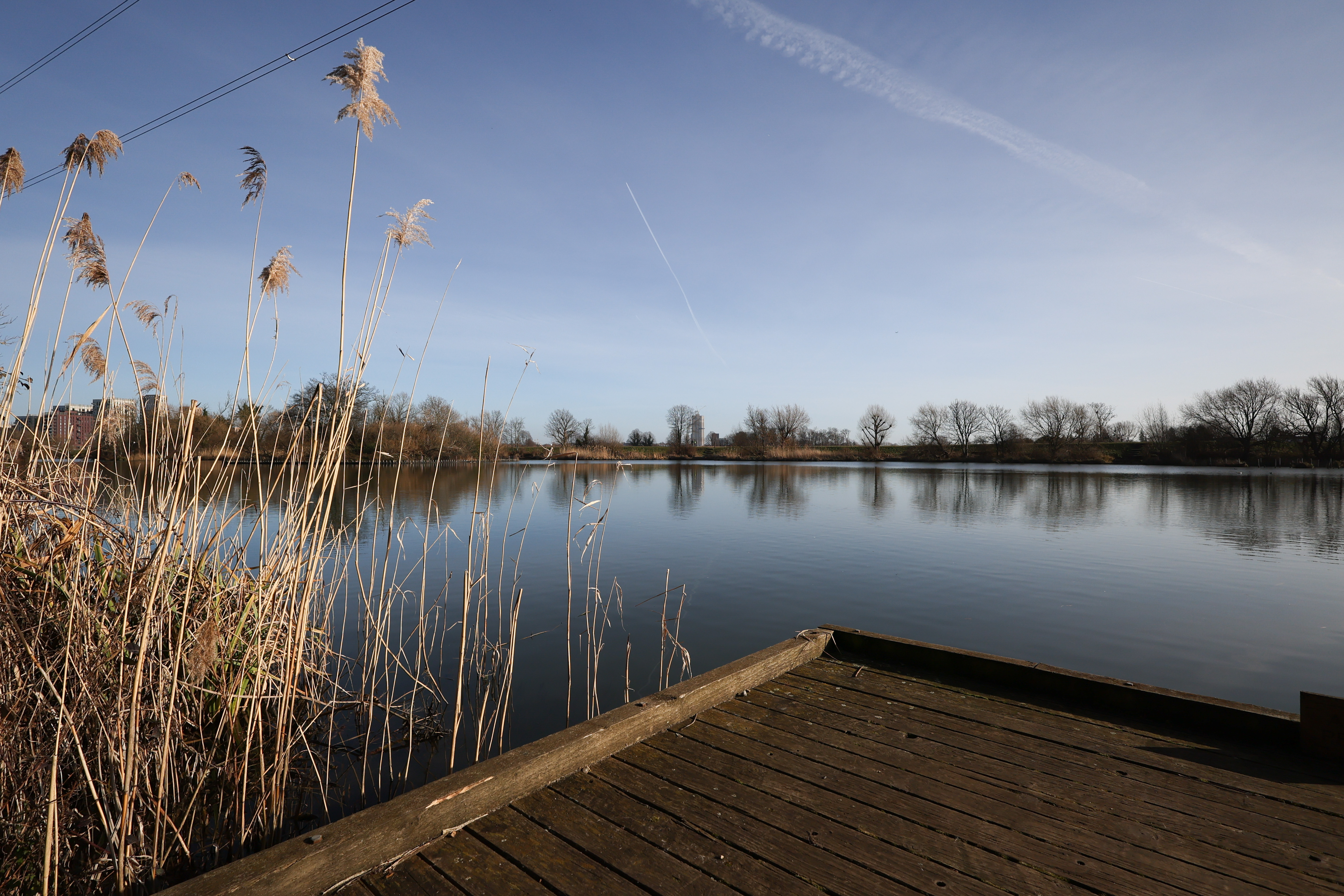 Lake surrounded by treess