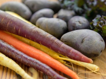 Colorful Carrots Next To Purple Potatoes