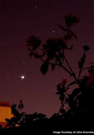 Photo of planet Venus with a Leonid meteor passing by the planet.