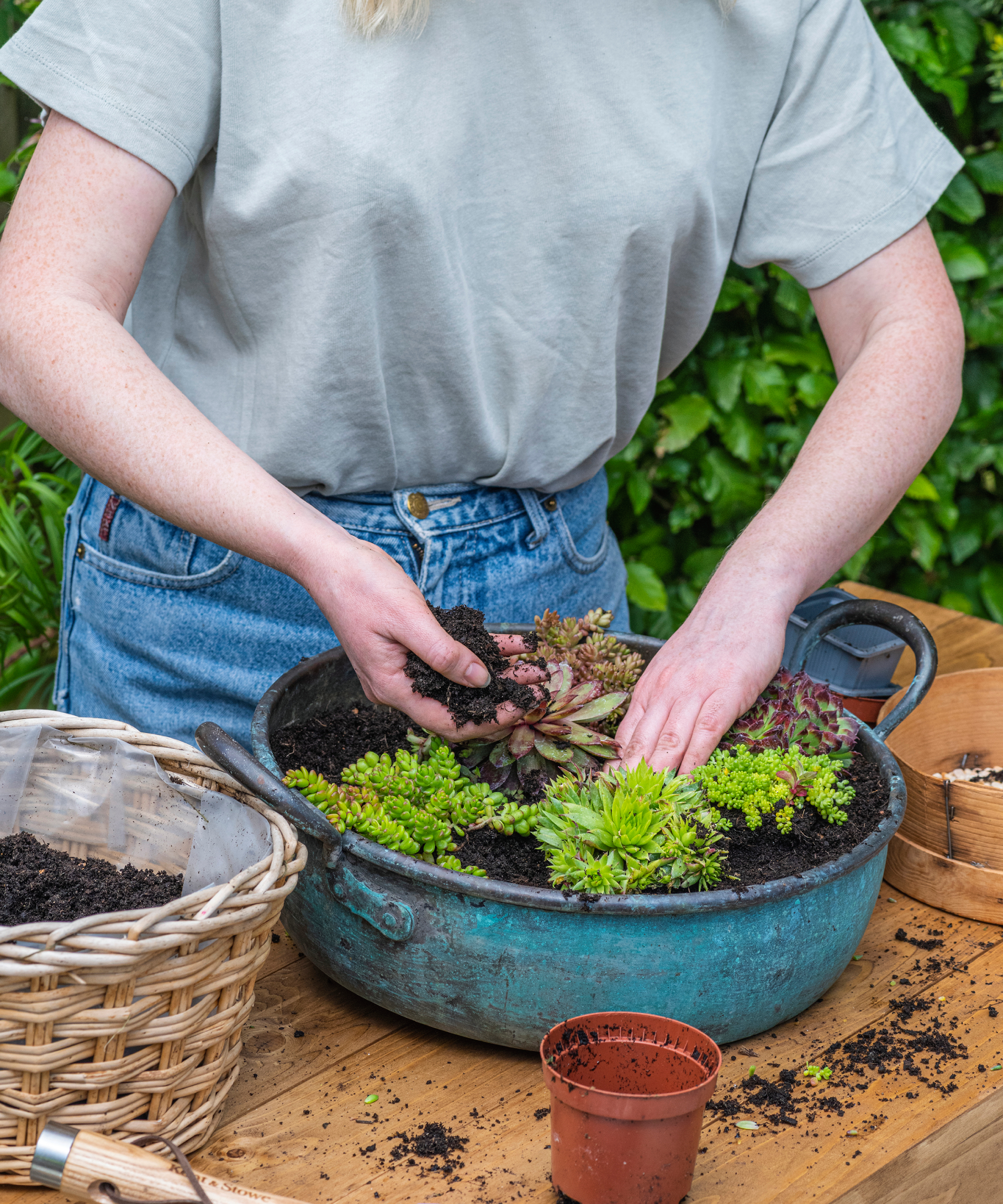 woman planting a bowl of succculents in the garden