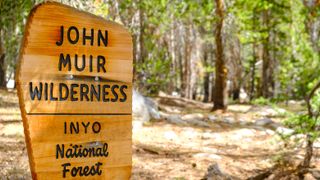 A close up of the John Muir Wilderness sign in the forest