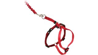 PetSafe Come With Me Kitty Cat Harness and Bungee Leash
