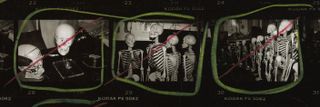 Stuart Pivar with skulls and skeletons at anatomical model showroom