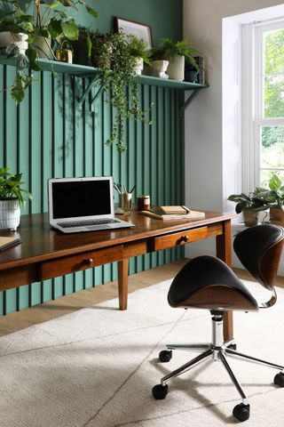 small desk with green paint scheme and floating shelf with plants on it