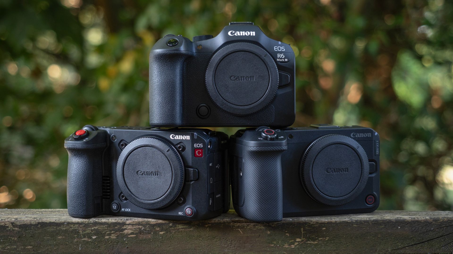 Canon EOS C50, Canon EOS R6 Mark III and Canon EOS R6 V sitting on a wooden surface outdoors