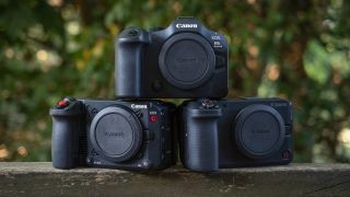 Canon EOS C50, Canon EOS R6 Mark III and Canon EOS R6 V sitting on a wooden surface outdoors
