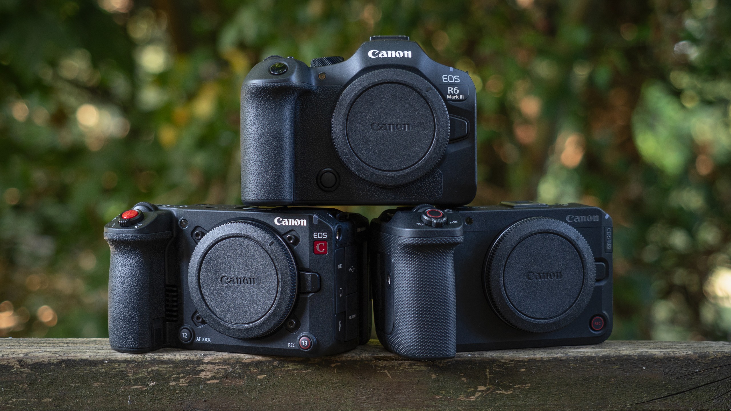 Canon EOS C50, Canon EOS R6 Mark III and Canon EOS R6 V sitting on a wooden surface outdoors