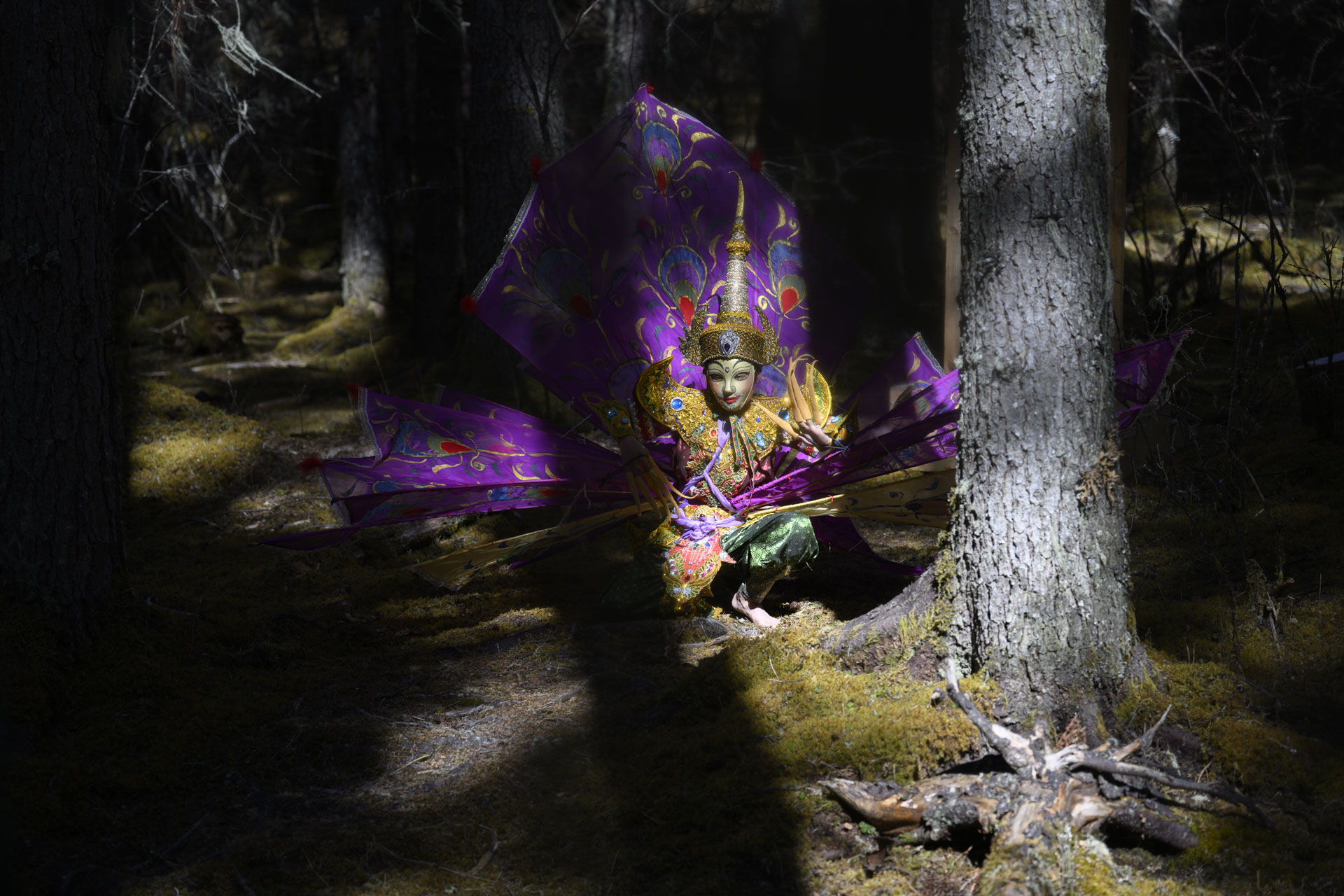 Nikon Z 70-200mm f/2.8 VR S II image gallery: Traditional Kinnara dance in China, in. a woodland