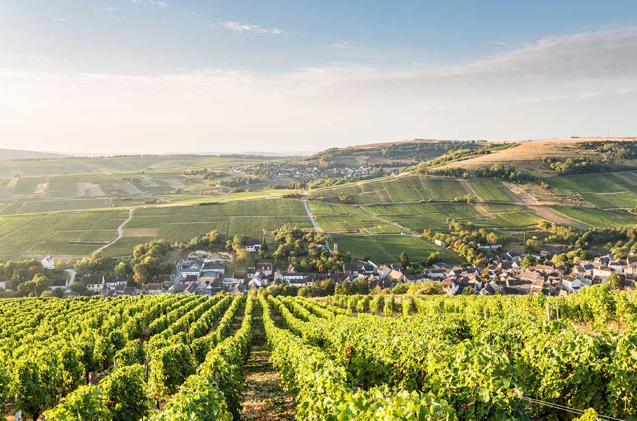The home of Sancerre wine