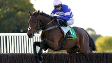 Cyrname is enjoying his new career after racing with Charlotte Alexander