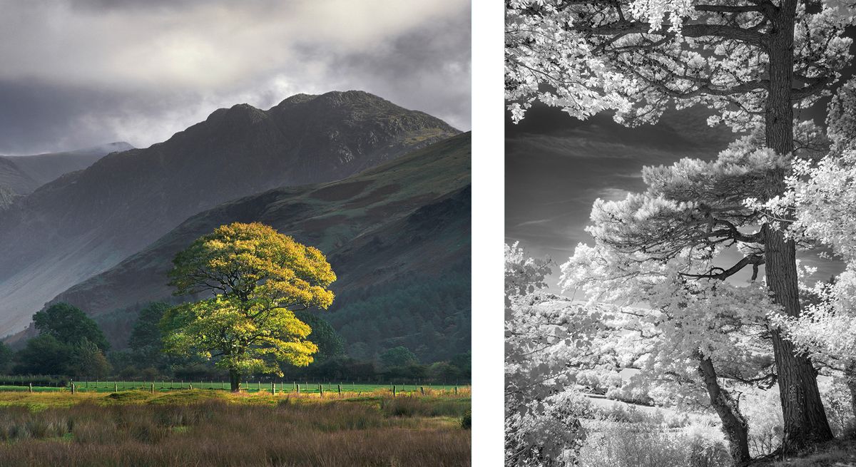 Montage of two photographs that will appear in the Light &amp; Land 2024 photo exhibition at the Mall Galleries in London, from 3 September