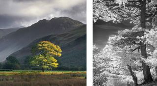 Montage of two photographs that will appear in the Light & Land 2024 photo exhibition at the Mall Galleries in London, from 3 September