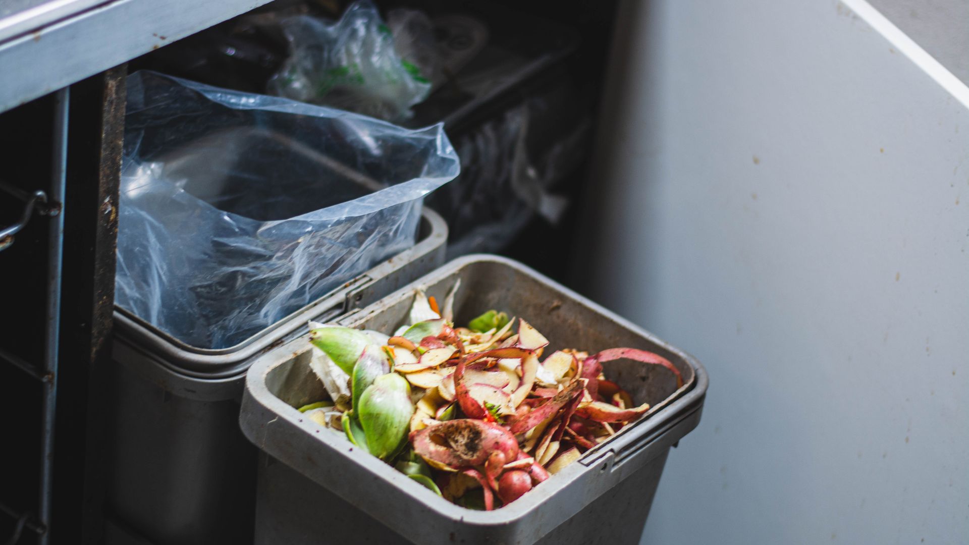 picture of a food waste bin in kitchen cupboard