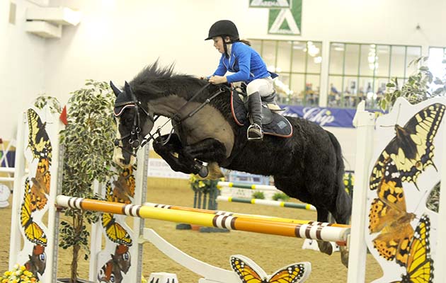 Catrin-Griffith-Brynsaeth-Jake-Blue-Chip-2018-Photo-%C2%A9-Suzanne-Jones.jpg