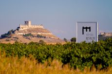 RESALTE-vineyard_castle.jpg