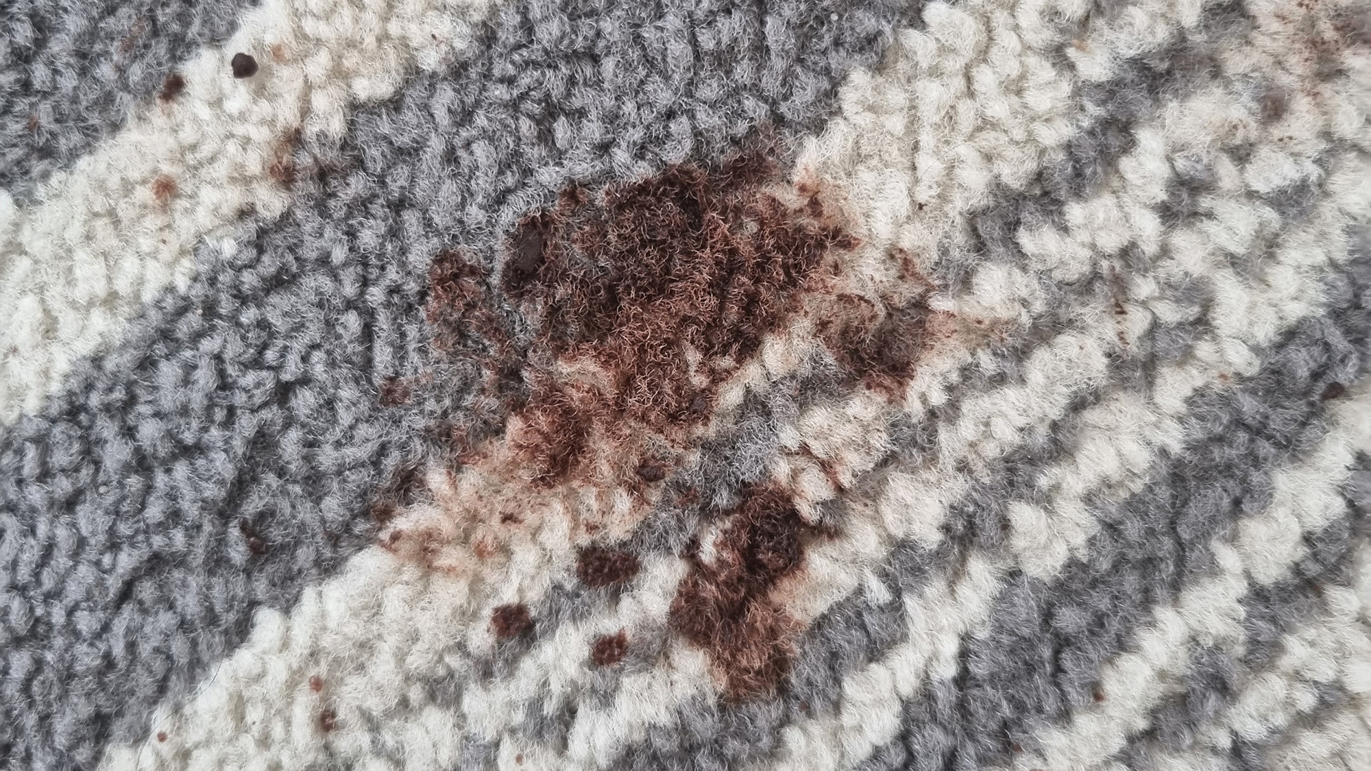 Chocolate stain on carpet