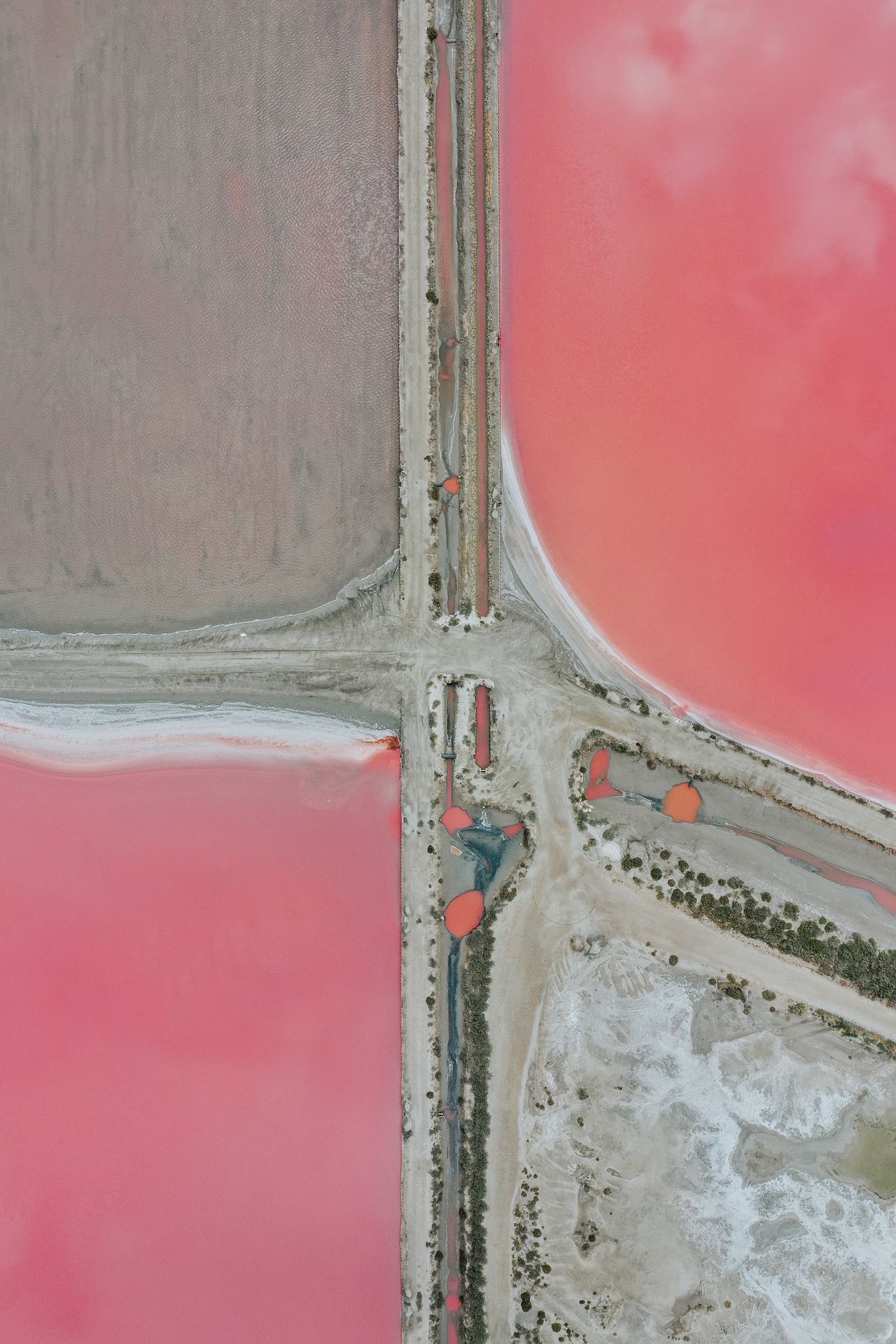 Camargue Regional Nature Park.