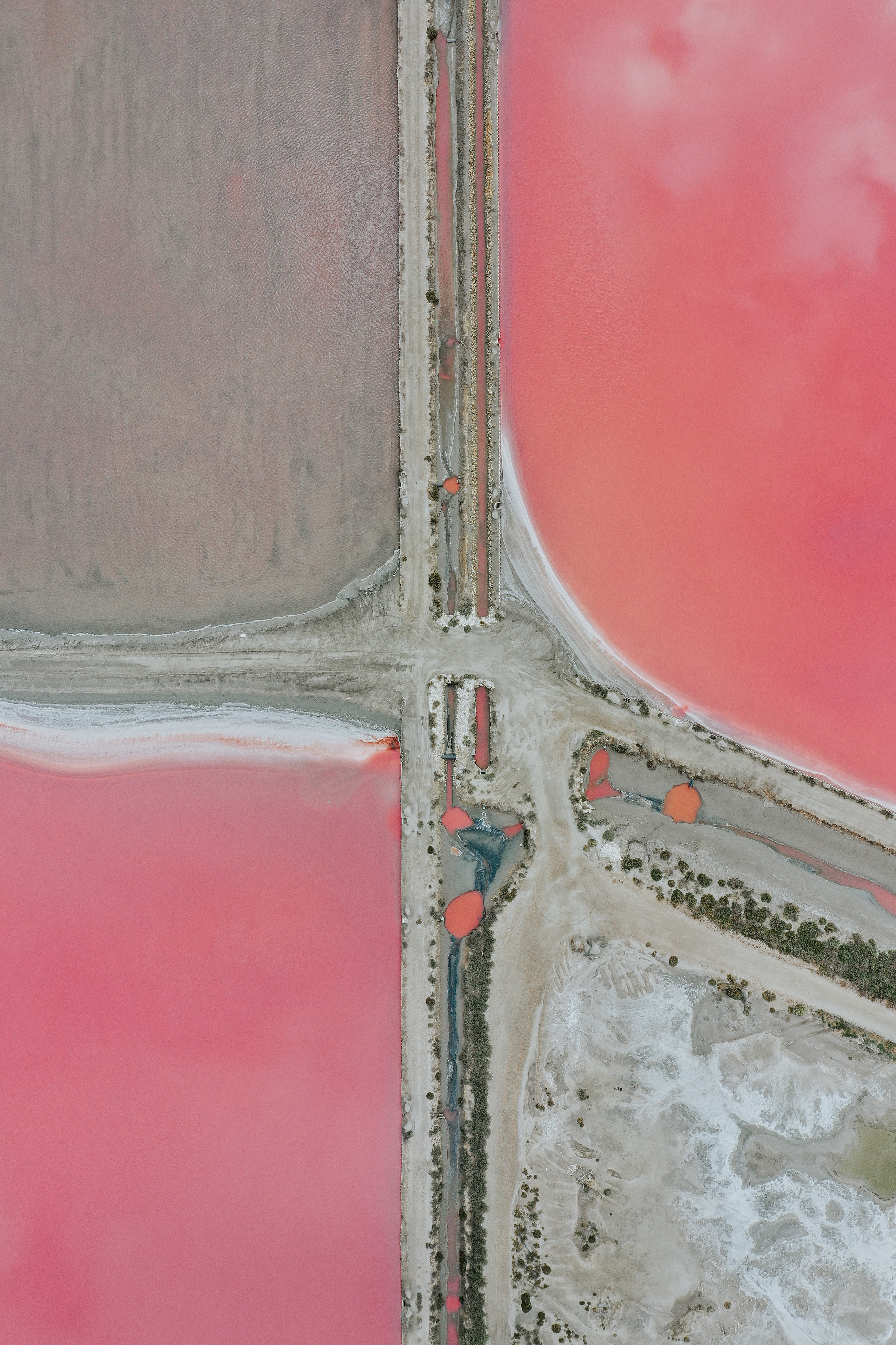 Camargue Regional Nature Park.