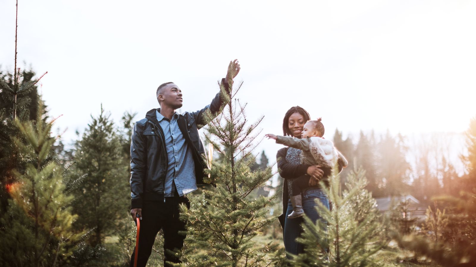 Young family choosing a Christmas tree