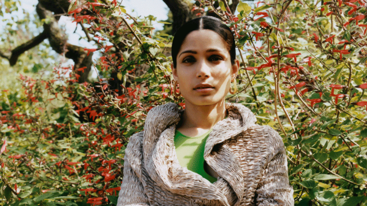 Freida Pinto