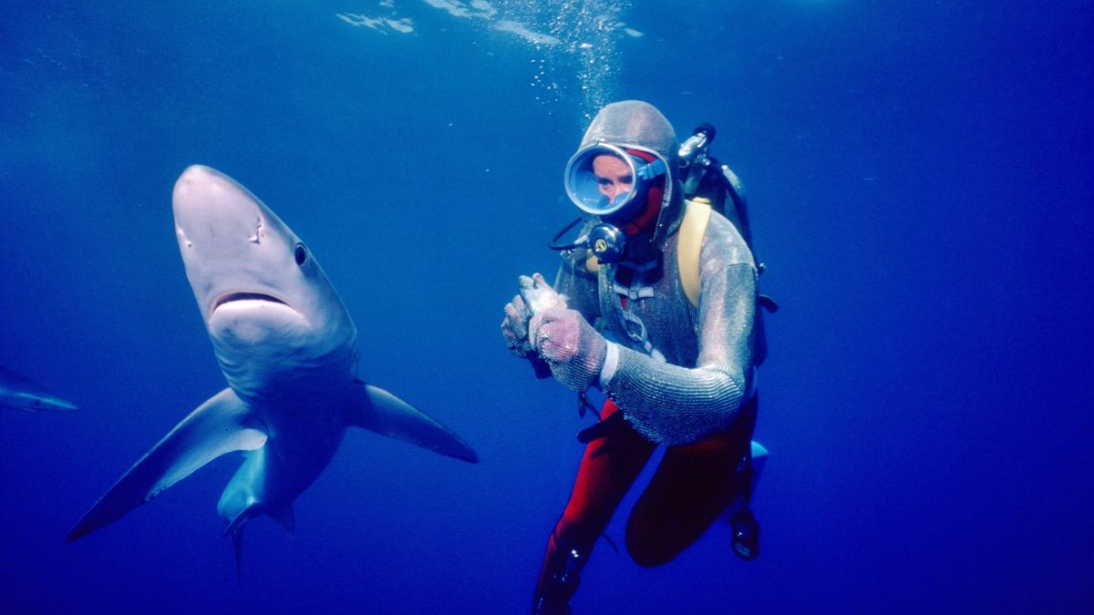 Playing With Sharks Valerie Taylor