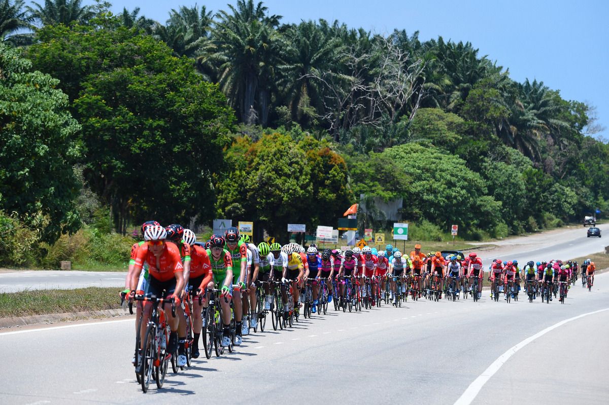 The bunch is lined out during the stage to Pekan