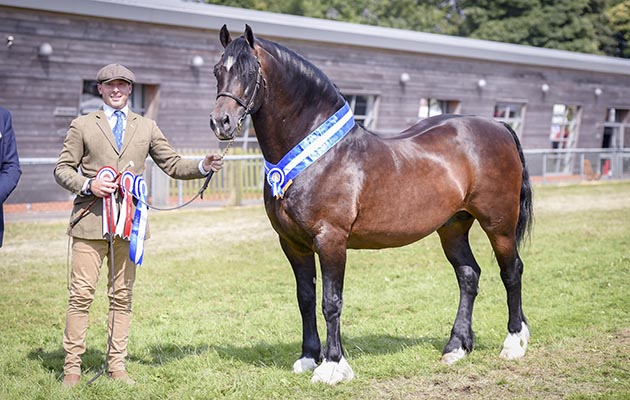 Kent County show 07 07 2018