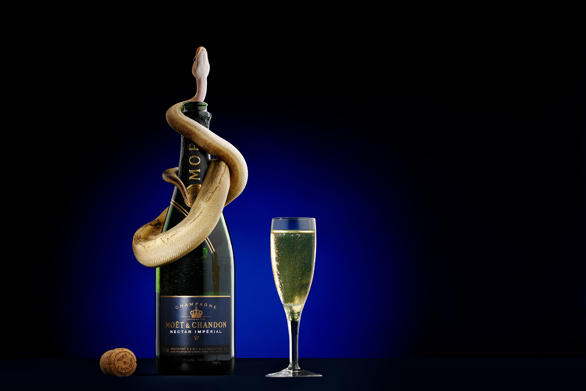 A golden snake wraps around a champagne bottle with a glass beside it, set against a deep blue background. The scene conveys elegance and intrigue