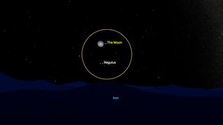 night sky graphic showing the moon shining bright and regulus below it. the two are surrounded by a yellow circle.