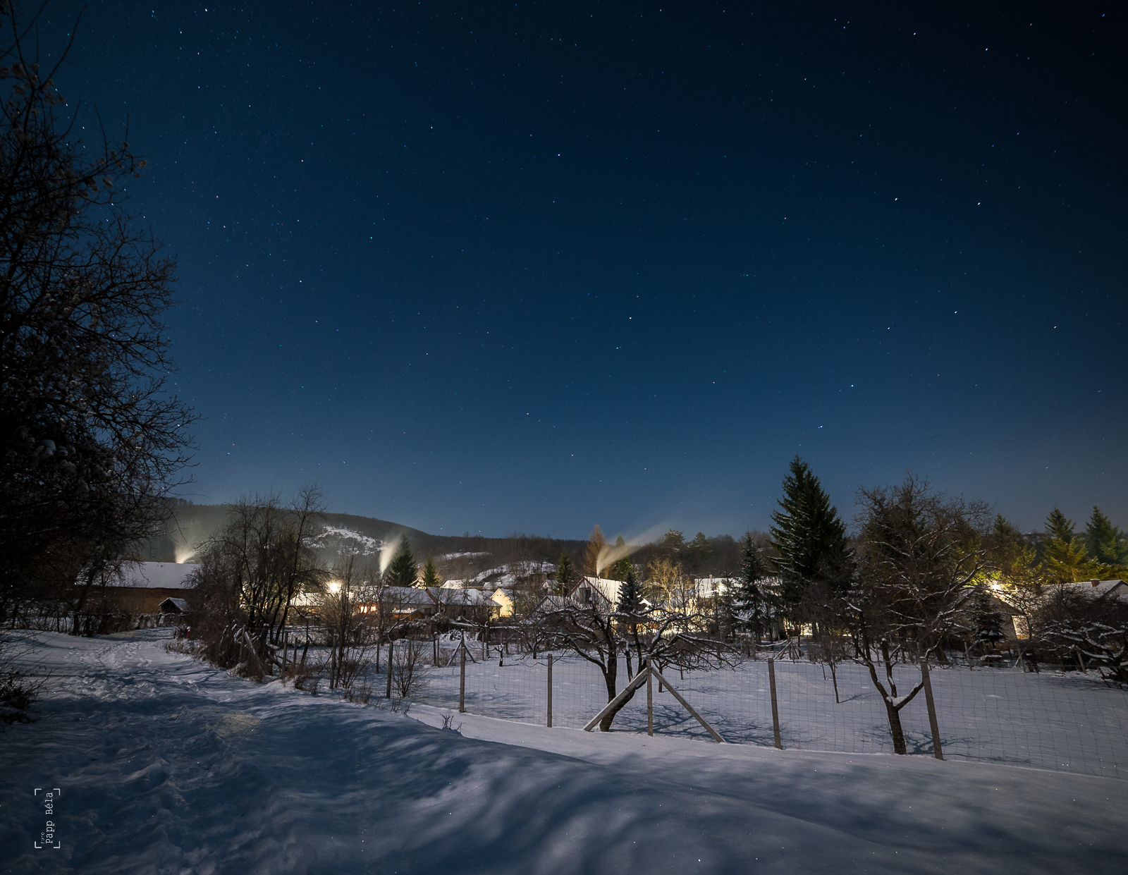 Moonlit Scene from Hungary