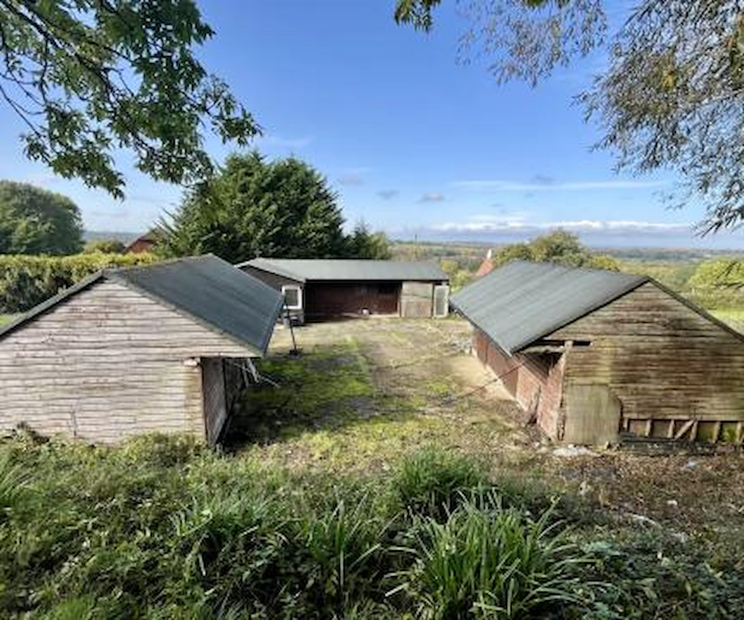 A plot with three buildings used for horses with an unkempt garden
