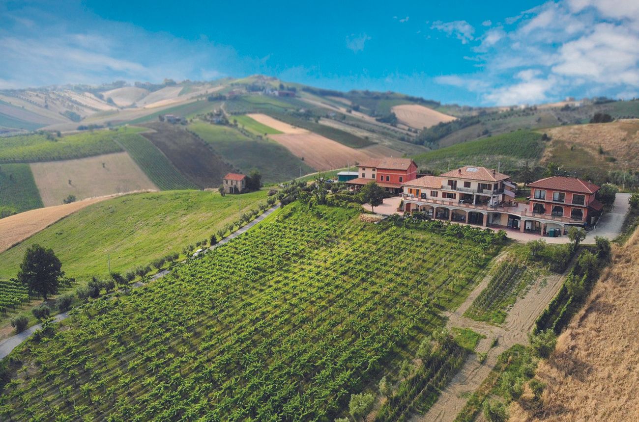18 expert-endorsed Cerasuolo d’Abruzzo wines to track down