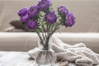 purple chrysanthemums in a glass vase