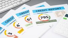 Several printouts of credit reports