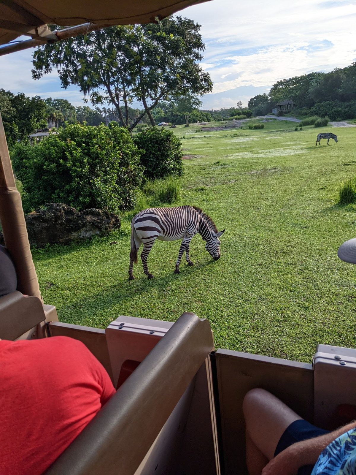 Google Pixel 5a Camera Sample