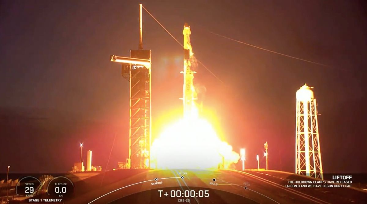Dragon capsule launches on SpaceX's 25th cargo mission to the space station
