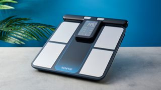 a body fat smart scale by renpho with a pull out handle to measure limb fat percentage and silver electrodes and a blue and black casing rests on a surface in front of a blue background