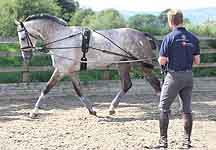Oliver-Townend-Training-Aid.jpg